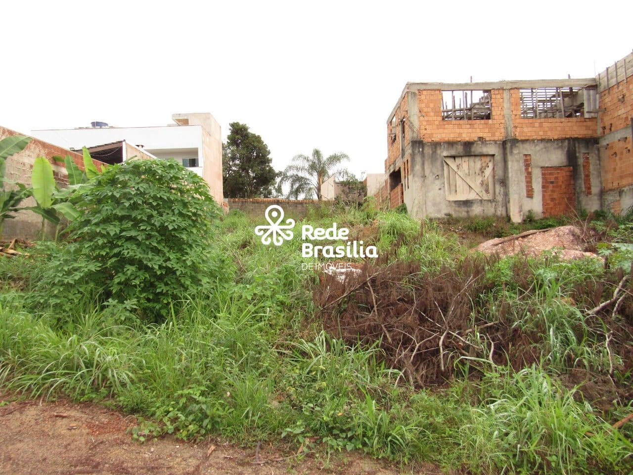 Imagem da propriedade CO9443 3