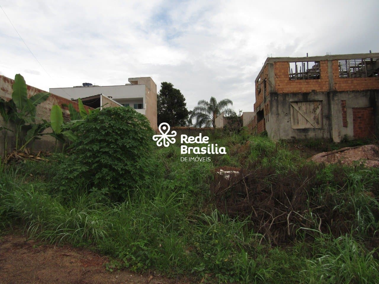 Imagem da propriedade CO9443 4