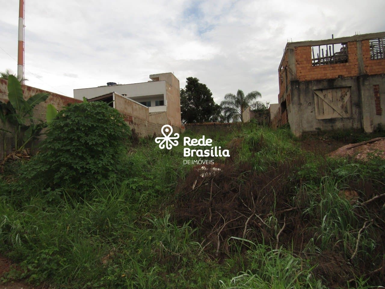 Imagem da propriedade CO9443 6