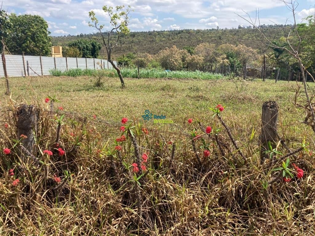 Imagem da propriedade CO8290 3