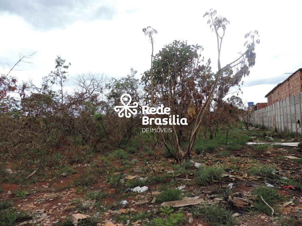 Imagem da propriedade TH14270 21