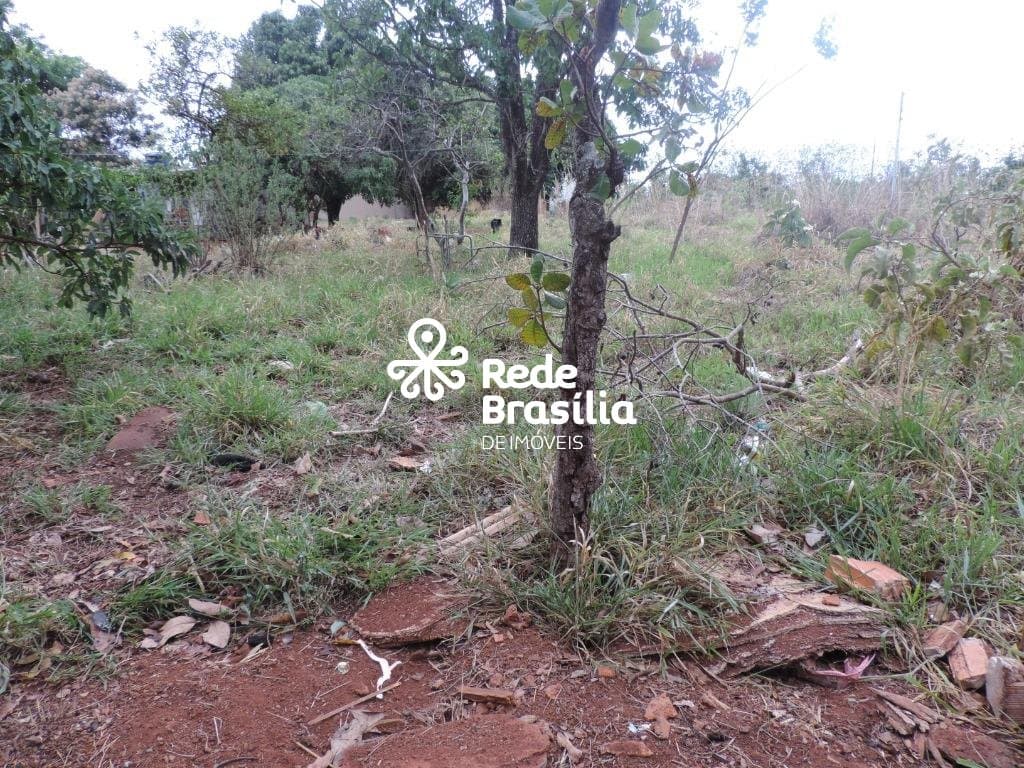 Imagem da propriedade TH14270 33