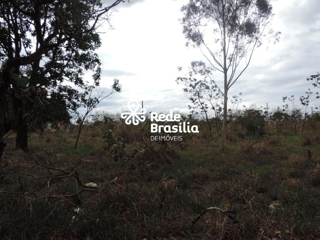 Imagem da propriedade TH14270 31