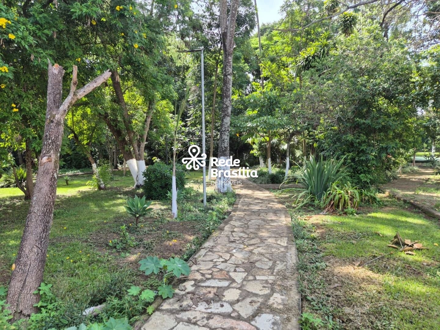 Imagem da propriedade TH29689 8