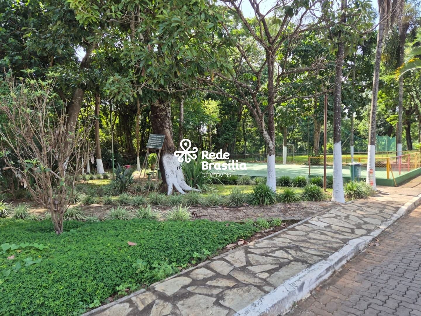 Imagem da propriedade TH29689 6